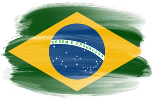 Brazilian Brush Flag