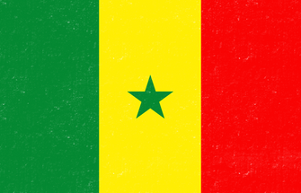 Textured Senegal Flag 