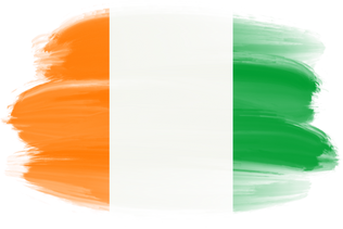 Ivory Coast Brush Flag