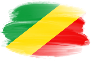 Republic of the Congo Brush Flag